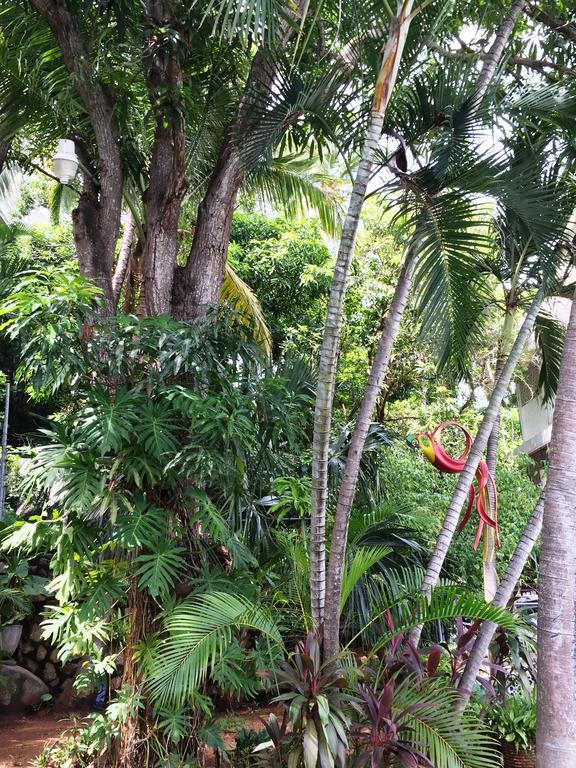 Villa Costa Chica Comodisimo Piscina Gigante Jardines Acapulco Luaran gambar